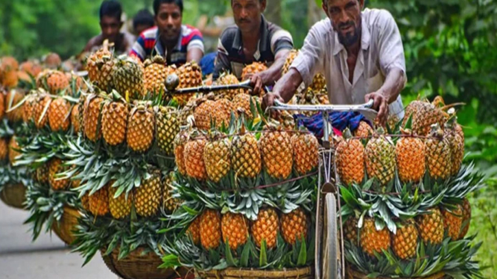 জিআই পণ্যের স্বীকৃতি পেলো মধুপুরের আনারস