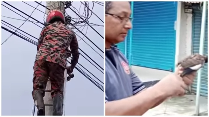 বিদ্যুতের তারে আটকা শালিক উদ্ধার করল ফায়ার সার্ভিস