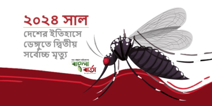 বিদায়ী বছরে ডেঙ্গুতে মৃত্যুর রেকর্ড, তবুও স্বস্তির ঢেকুর সরকারের