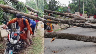 ঠাকুরগাঁওয়ে ২০ গ্রামে কালবৈশাখী ঝড়ের তাণ্ডবে নিহত ৩