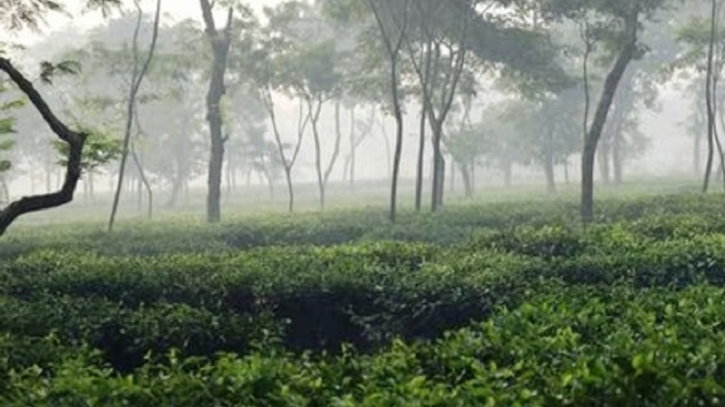 শীতের তীব্রতা বাড়ায় বিপাকে নিম্ন আয়ের মানুষ